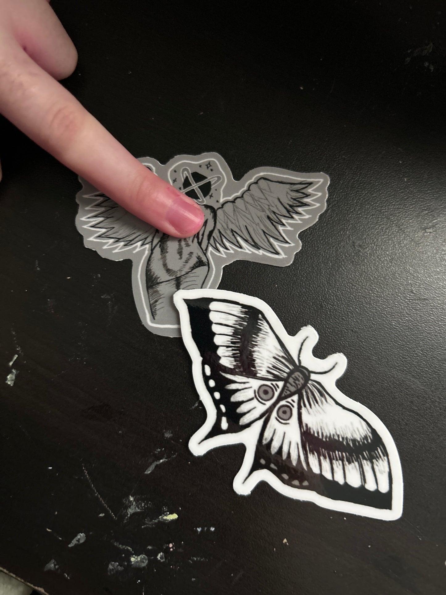 Moth sticker