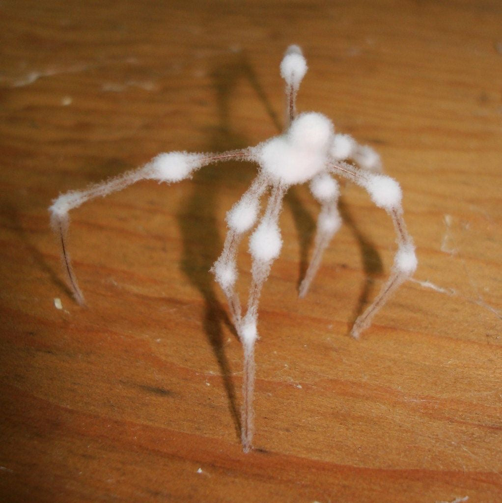 Zombie Spider necklace
